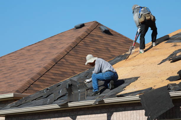 Waterproofing in Carnesville, GA